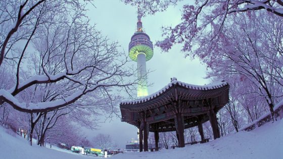 4 Days 3 Nights Snow much fun in Korea!