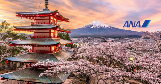 5 Days Cheery Blossom Japan Special DEAL